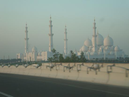 dsc09211-1.jpg