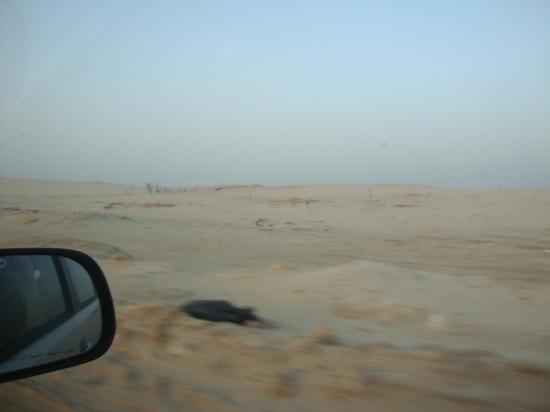 dsc09229-2.jpg