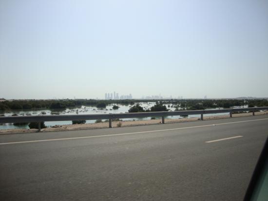 dsc09261.jpg