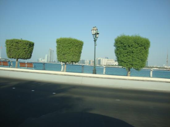 dsc09273.jpg